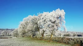 Drone Captures Remarkable Frost On Trees During UK Cold Spell - Dec 13th 2022