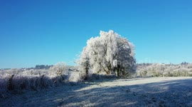 Drone Skimming Ground To Reveal Spectacular Tree Frost! - Feb 13th 2022