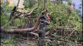 Cyclonic storm Mandous made landfall off in chennai on Friday influencing heavy rainfall in coastal Tamil Nadu