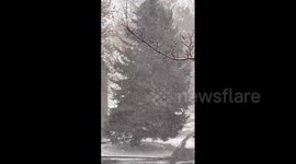 US: Massive Snowfall Blankets Parts Of Utah In White