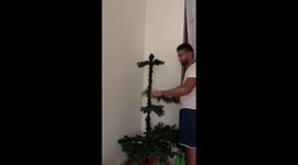 CHRISTMAS TREE SETUP FAST FORWARD