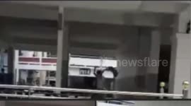 Scared pupil catches monkey and tosses it away after it bit his hands in Thailand