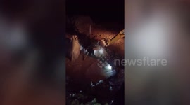 Excavator used to dig free elephant trapped in watery pit