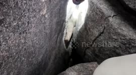 Man gets stuck in gap between rocks inside forest in southern India, rescue operation underway