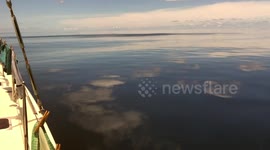 Sailing from Darwin, Australia, we encountered unusually glassy seas off the coast of Timor.