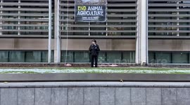 Animal rights protesters hang huge banner outside Defra