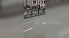 Runaway dog in Russia saved by passing cyclist in heartwarming rescue