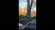 temp