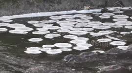 Rare pancake ice forms on the River Exe in England's Tiverton, as cold snap continues