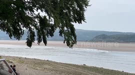 The Arnside - tidal - Bore flooding the Kent Channel at Arnside to float the Hearts of Oak, a classic gaff rigged wooden sailing boat, known as a Morecambe Bay Prawner.