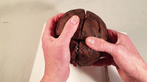 Puzzle guru completes and eats Christmas pudding Rubik's Cube