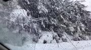 temp