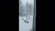 temp