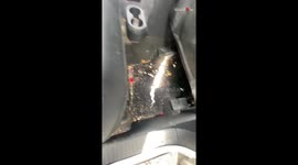 BEWARE! This car-detailing video is riveting beyond compare