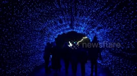 Christmas Eve Illuminations at the Zoo! Cool lights and animatronics at Yorkshire Wildlife Park