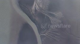 Yangtze River Tidal Tree Landscape In Suzhou, Jiangsu, China