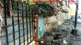 Jewish Graveyard (Bani Israel Cemetery), Meva Shah Graveyard, Karachi, Pakistan.
