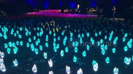 Enchanted Forest of Light is an unique group of installations  in Los Angeles