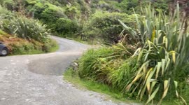 Honesty shop in New Zealand, where you can buy fruits, veggies, honey, jam, eggs etc.