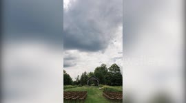 An eco-conscious bride grew all of her own wedding flowers  - and saved £10k in the process