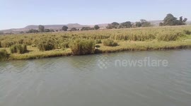This is at Awash River bank in Wonji, Ethiopia. More precisely at Gergedi Hot-spring. I was with my brother and we were exploring the river side, just walking along and taking pictures and videos of anything interesting.