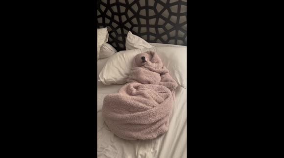 temp