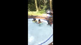 Boys and Girls in the kids swimming pool were challenging each other over swimming speed. Funny swim challenge