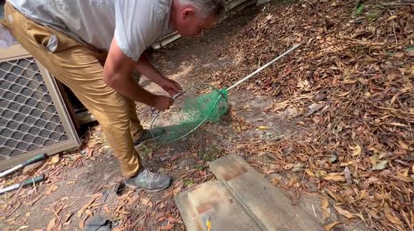 Aussie dad rescues baby ringtail possum from boat landing net