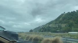 Hungry seagulls desperately try to eat chips through car windscreen