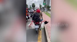 Dog sits in bag hanging from motorcycle