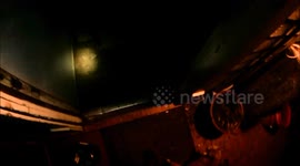 Puppy Scared Of Fish