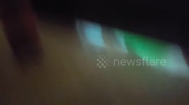 Australian Fans celebrating McGregor/Aldo fight