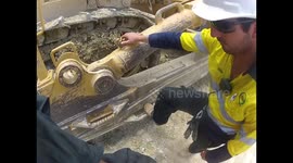 So you want to be a snake catcher?