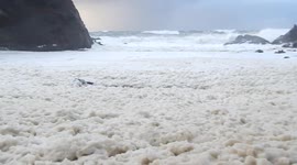 Sea foam covers beach in Oregon