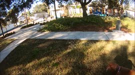 Bloody Good Christmas Halloween Display