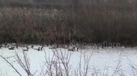 abandoned fracking site