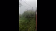 temp