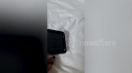 Italian tourist rushed to hospital after eating cannabis cake in Thailand