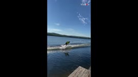 Family tries to catch a frisbee while riding on a boogie board *THEY WEREN'T READY!*