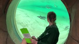 ZSL London Zoo annual stocktake in London, UK