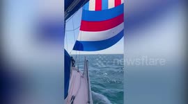 Couple cut their bills by 50% by trading their £200k two-bed flat for a 40ft yacht