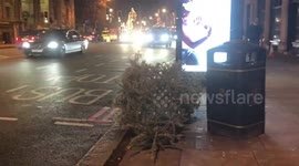 Discarded Christmas trees on the streets of London’s wealthy Knightsbridge and Kensington following festive period