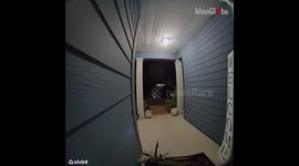 Security camera footage shows a DoorDash driver who has absolutely NO CHILL