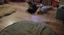 Bruin, the rottweiler and his little human taking a break while taking the Christmas tree down!