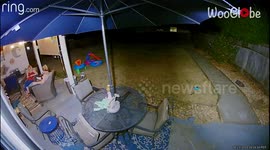 Mom & Daughter run for their lives after HUGE rat appears out of the blue