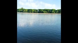 Dia de pesca no rio Tejo