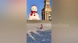 Drone shot down in park after it disturbed penguin in northern China