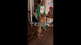 Overexcited dog gives big sister proper welcome following her return from college