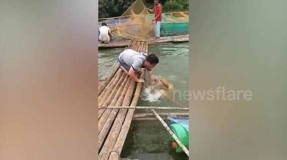 Clumsy pet owner slips off raft while pulling dog from river in ...