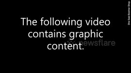 Security camera captures the moment a deer smashed through a window pane of a butcher's shop front door